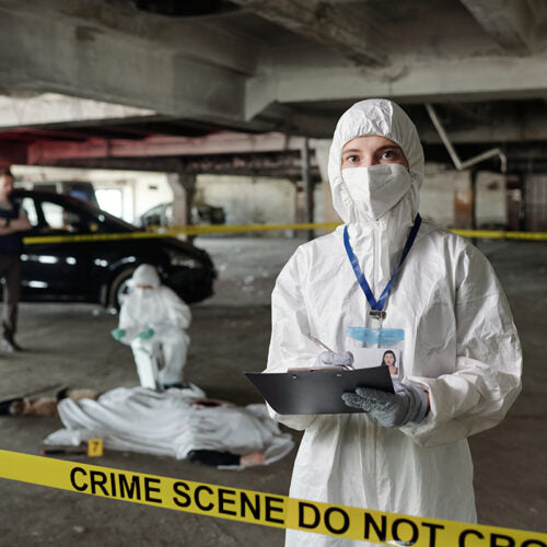 SBPP COVERALLS  LARGE CARTON OF 50